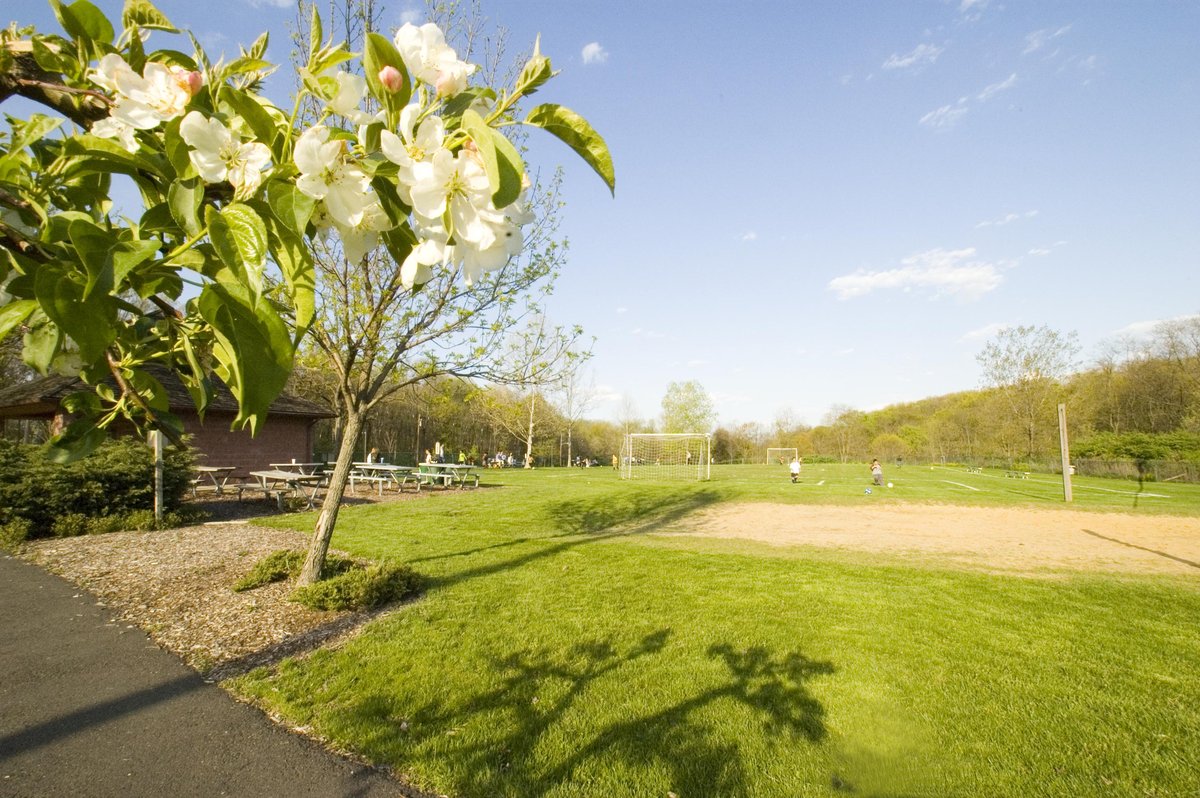Whippany, NJ - Whippany, New Jersey - Wikipedia